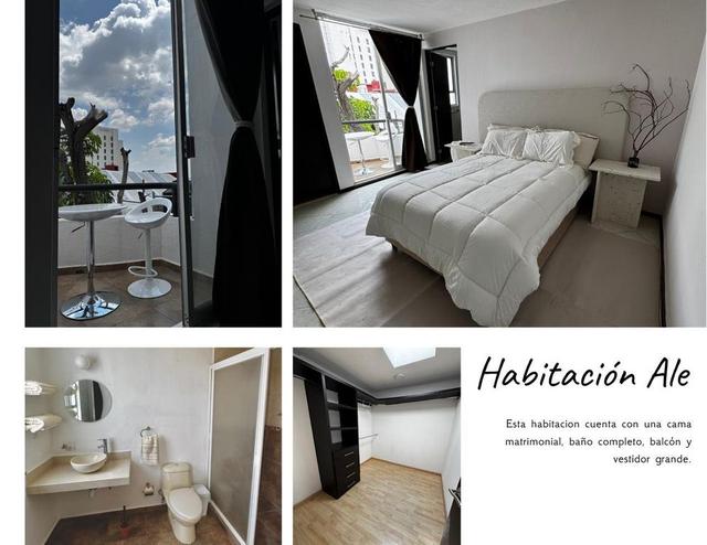 Foto de la galeria de imagenes